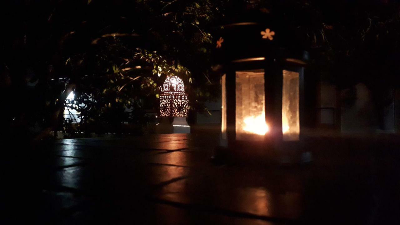 Palacete Dos Alcaides Minas de São Domingos 外观 照片