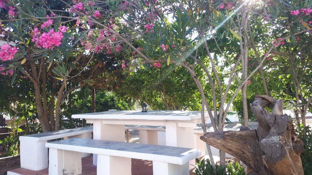 Palacete Dos Alcaides Minas de São Domingos 外观 照片